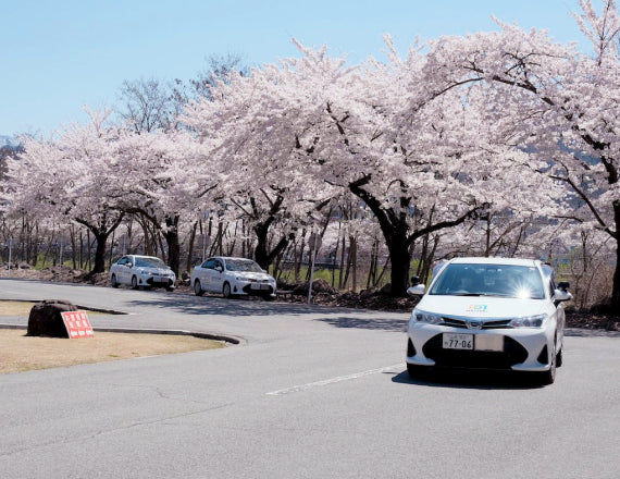 写真:桜の木の下で教習車が走行している風景