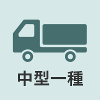 中型一種